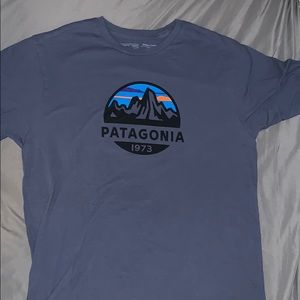 Patagonia tshirt